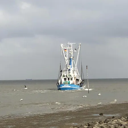 Apartment Capitano *