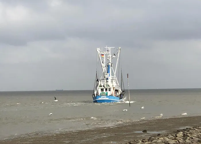 Διαμέρισμα Capitano *